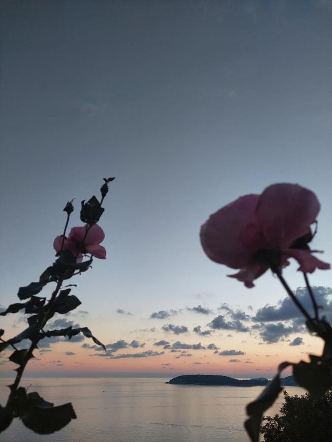 Apartmani Nika Dubrovnik Kültér fotó