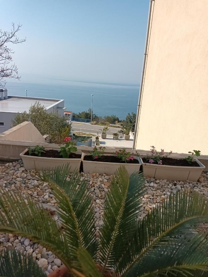 Apartmani Nika Dubrovnik Kültér fotó